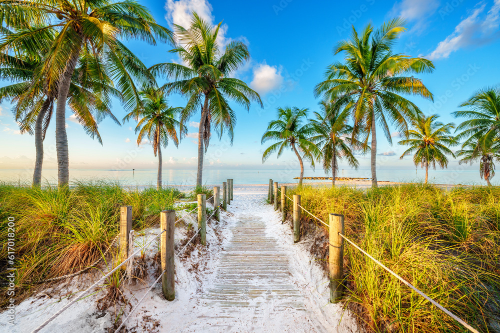 Sunrise.beautifully  framed by Palm Trees..Florida Holidays inspiration 
